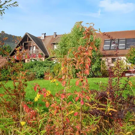 Apartmán A Avec Vue Montagne Thannenkirch
