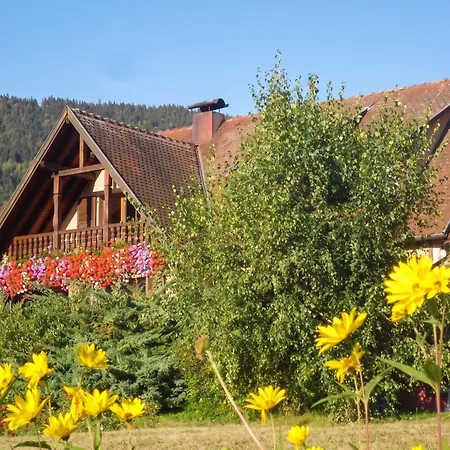 A Avec Vue Montagne Thannenkirch