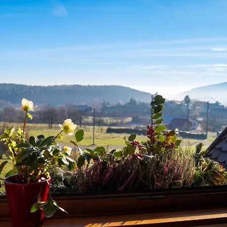 A Avec Vue Montagne Thannenkirch