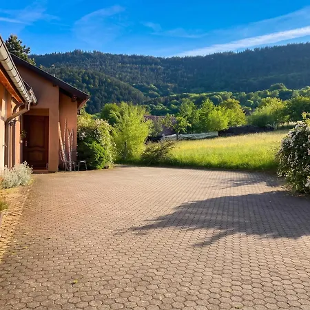 Apartmán A Avec Vue Montagne Thannenkirch