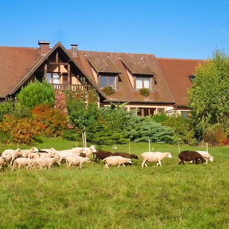 A Avec Vue Montagne *